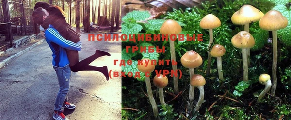 spice Алексеевка