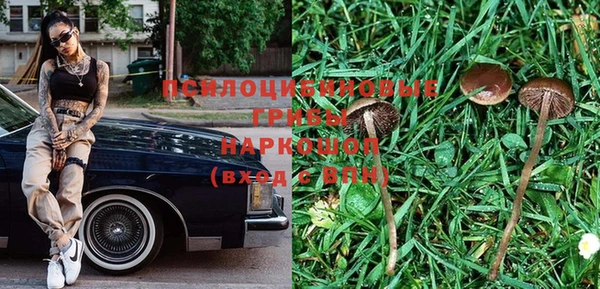 spice Алексеевка