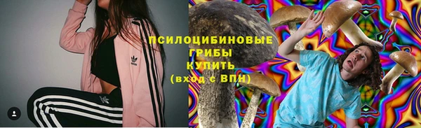 spice Алексеевка