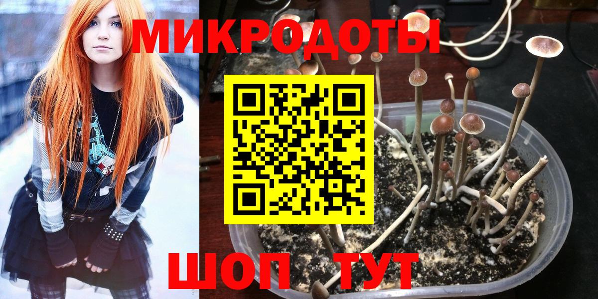 Псилоцибиновые грибы мухоморы Сорочинск