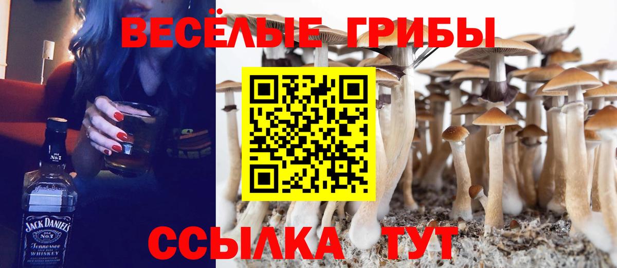 Сорочинск  Псилоцибиновые грибы мицелий  Галлюциногенные грибы Magic Shrooms  Вход с VPN 